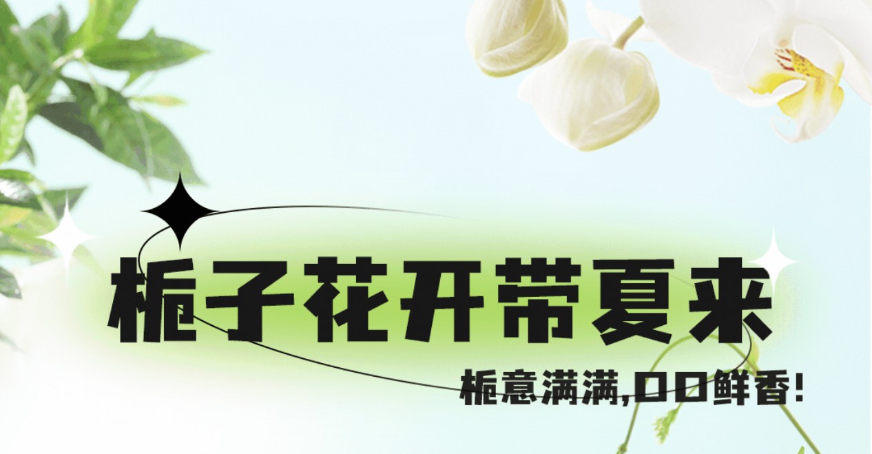 梔子花茶7月新上市，梔意滿滿，帶你入夏！